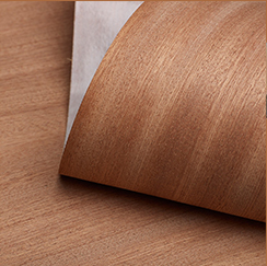 Laminate Manufacturers in Delhi